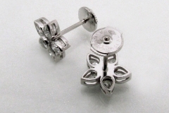 Platinum & Diamond Earrings