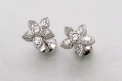 Platinum & Diamond Earrings