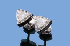 Platinum & Diamond Earrings
