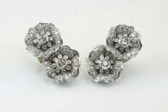 Platinum & Diamond Earrings