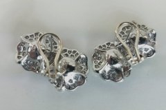 Platinum & Diamond Earrings
