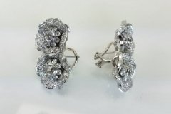 Platinum & Diamond Earrings