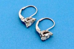 Platinum & Diamond Earrings