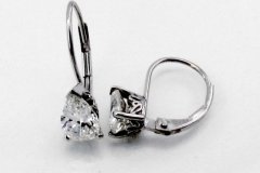 Platinum & Diamond Earrings