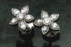 Platinum & Diamond Earrings