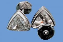 Platinum & Diamond Earrings