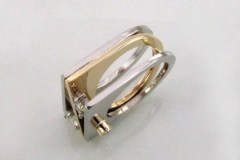 Palladium & Gold Diamond Fashion Ring