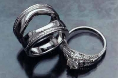 Platinum & Diamond Ring & Guard Ring