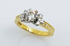 Gold  Platinum and Diamond Engagement Ring
